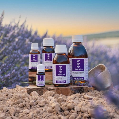 Esencias de Lavanda